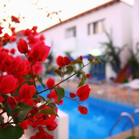 Pánormos Iliana Hotel المظهر الخارجي الصورة
