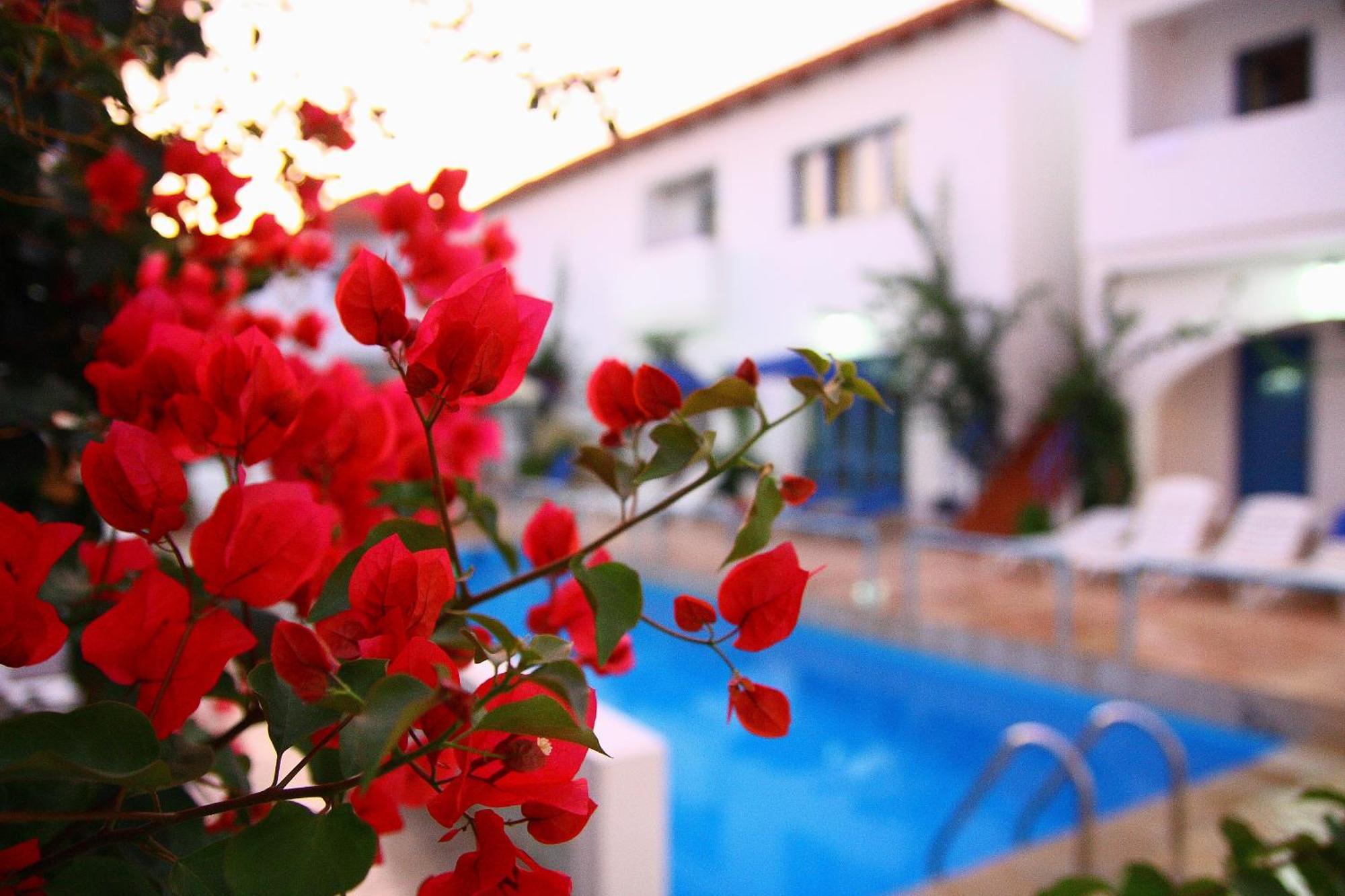 Pánormos Iliana Hotel المظهر الخارجي الصورة