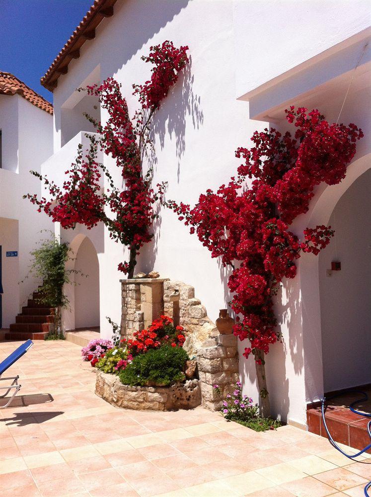 Pánormos Iliana Hotel المظهر الخارجي الصورة